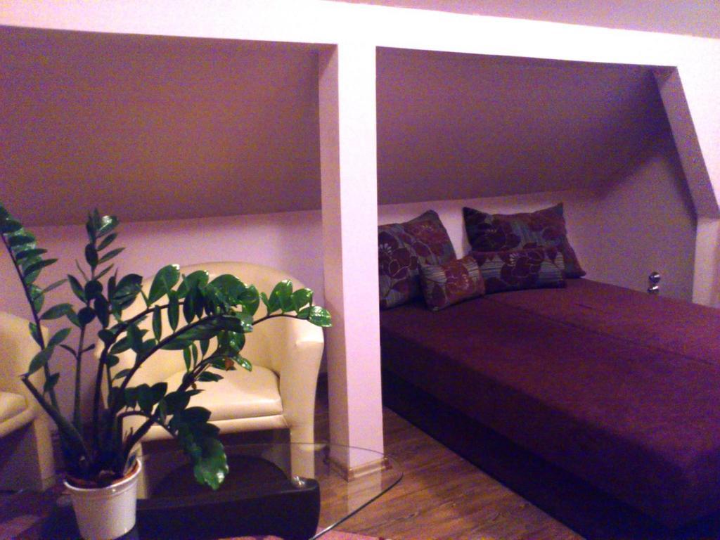 Szilvia Vendeghaz Otel Korosszakal Oda fotoğraf