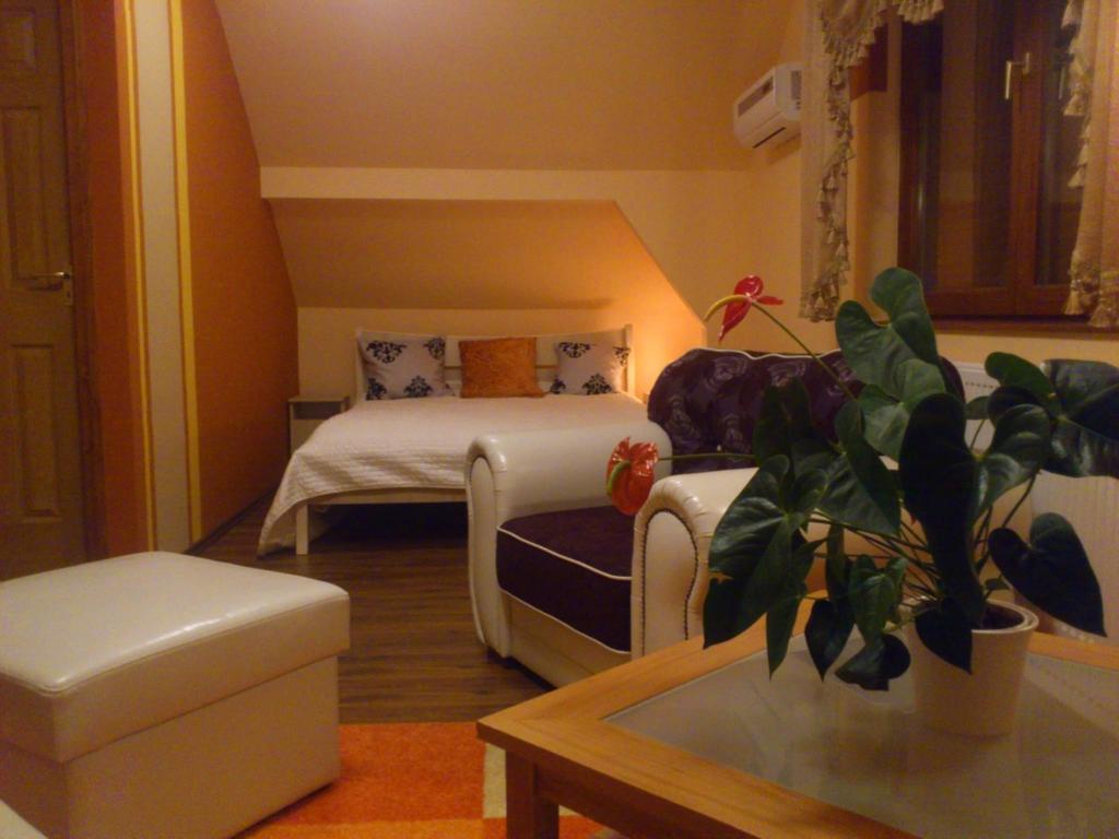 Szilvia Vendeghaz Otel Korosszakal Oda fotoğraf